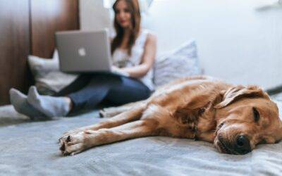 Blog 10 Tre cose che è assolutamente necessario fare quando si acquista casa